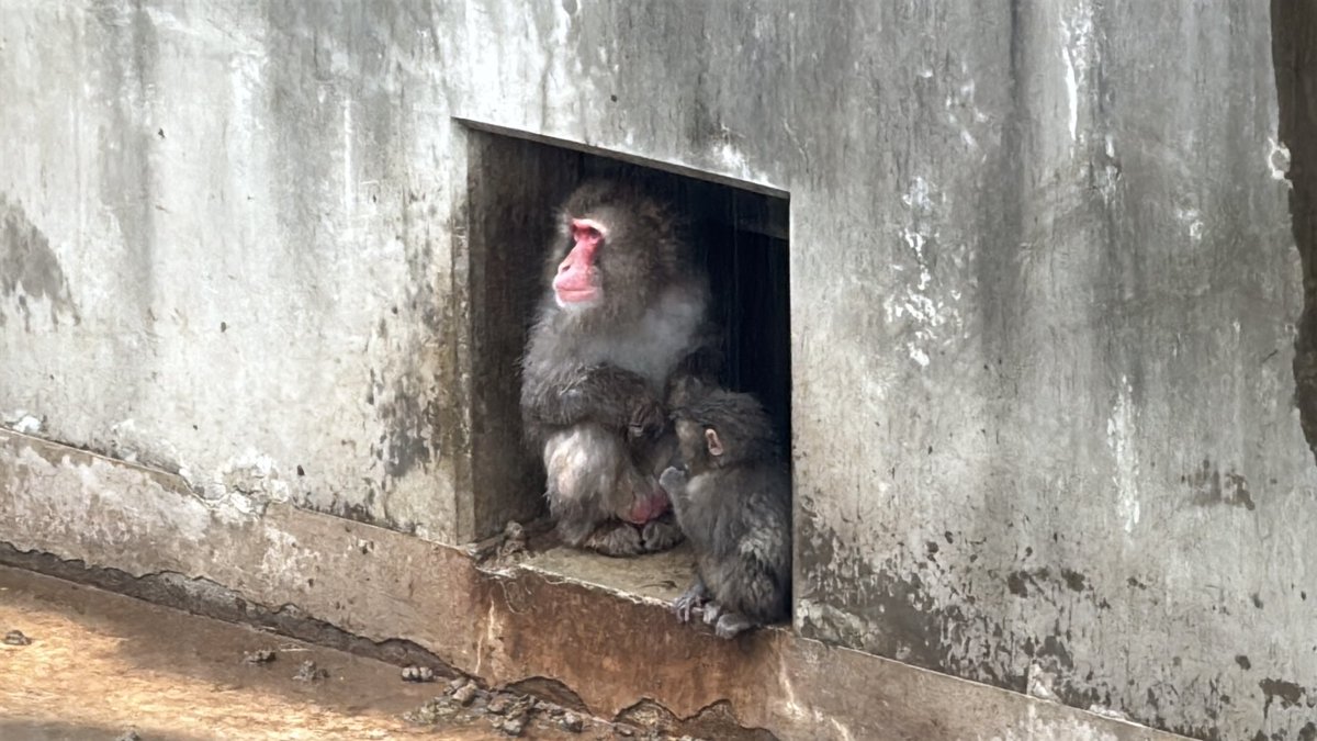 Morning check-in from the zoo