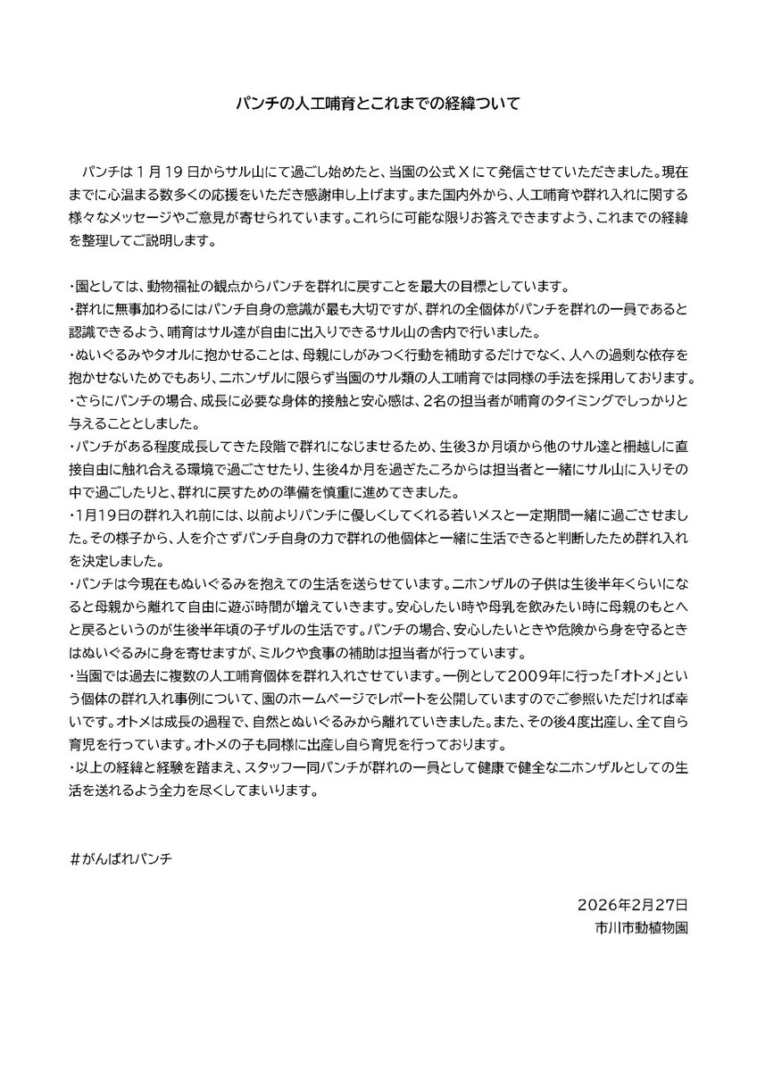 Zoo posted a detailed breakdown of Punch's hand-rearing history